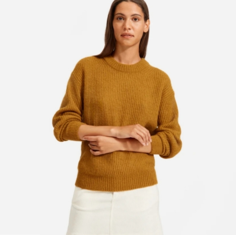 Everlane oversized alpaca crew